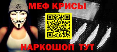СК Кингисепп