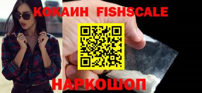 СК Кингисепп