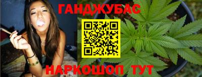 СК Кингисепп
