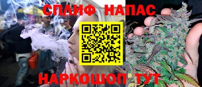 дмт Кимры