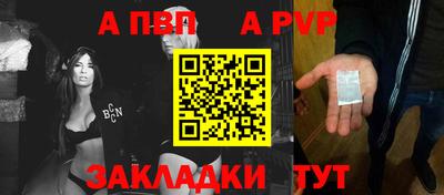 СК Кингисепп