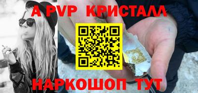 СК Кингисепп