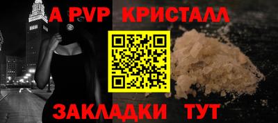 СК Кингисепп