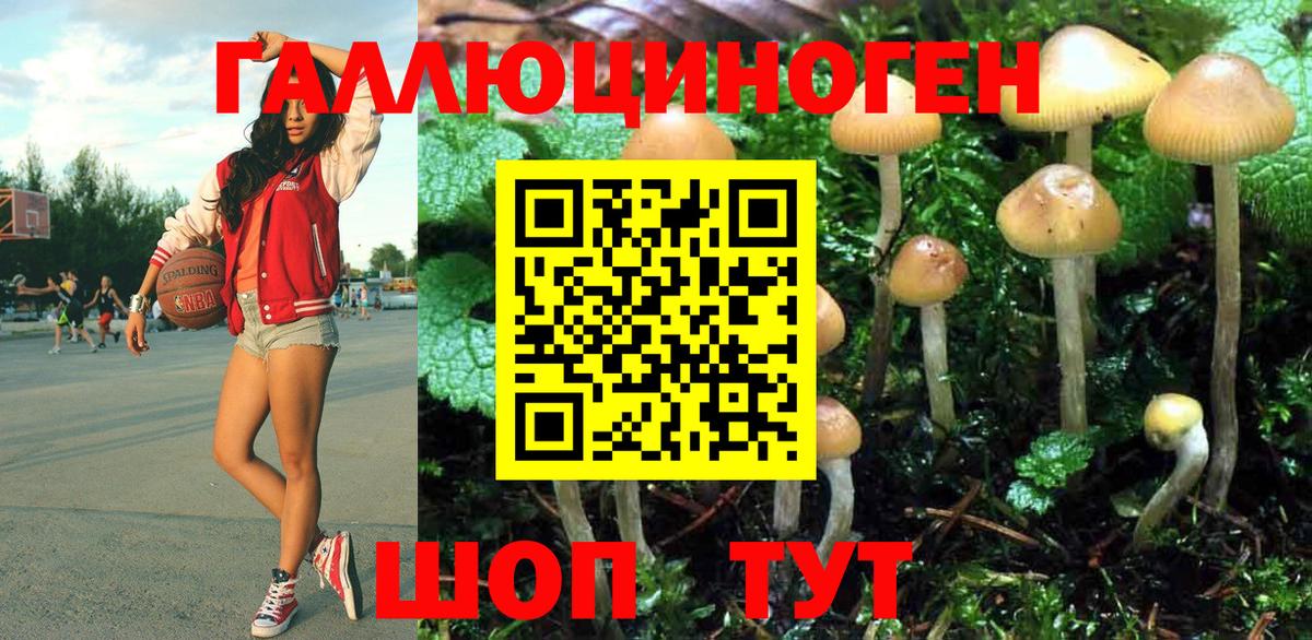 Псилоцибиновые грибы мицелий Дагестанские Огни