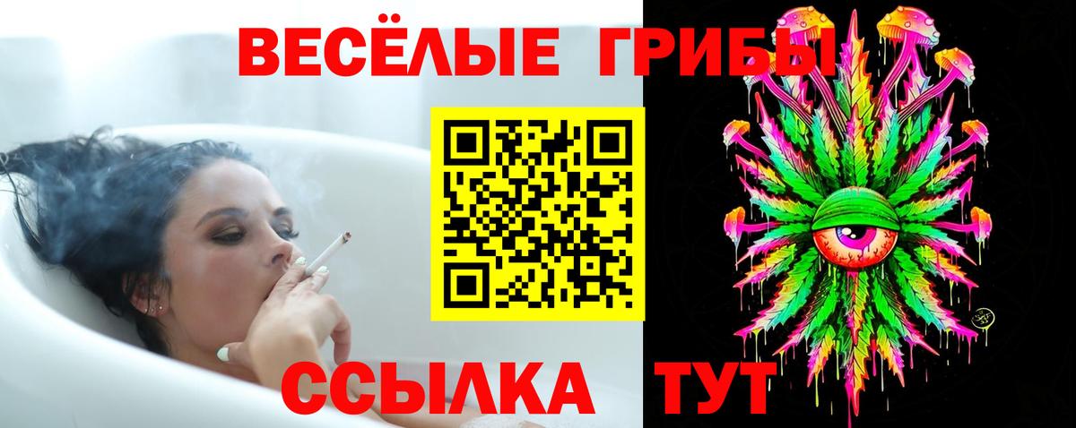 Псилоцибиновые грибы Psilocybine cubensis  Вход с VPN  Галлюциногенные грибы Cubensis  Дагестанские Огни 