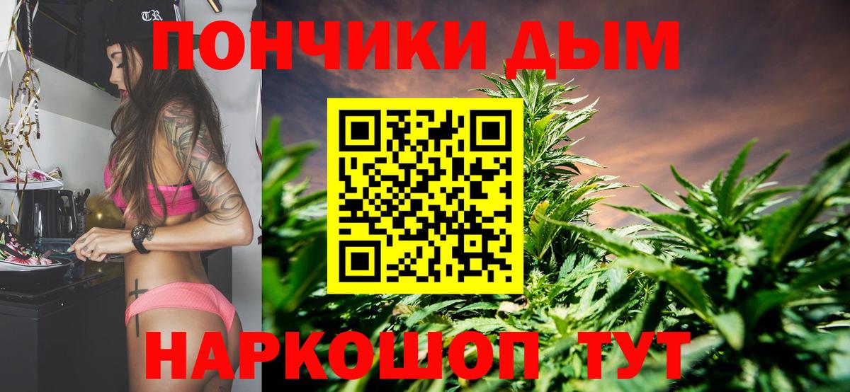 Каннабис тримм  Конопля конопля  Вход с VPN  Дагестанские Огни 